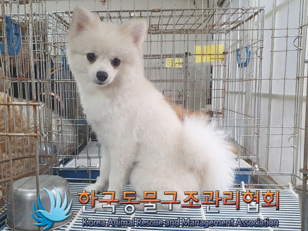 한국동물구조관리협회_411322202300438